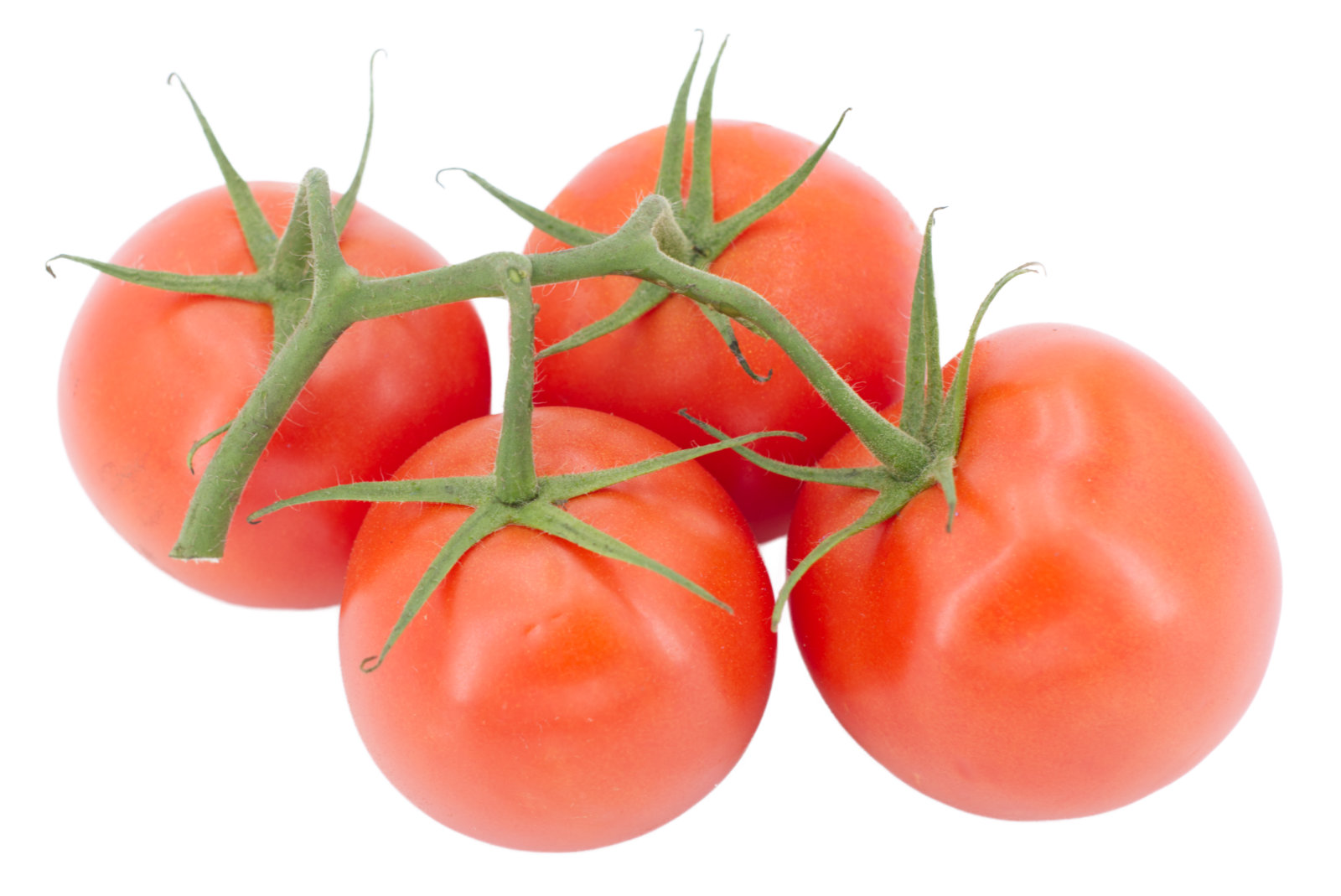 Strauchtomaten 5kg - niederl. -