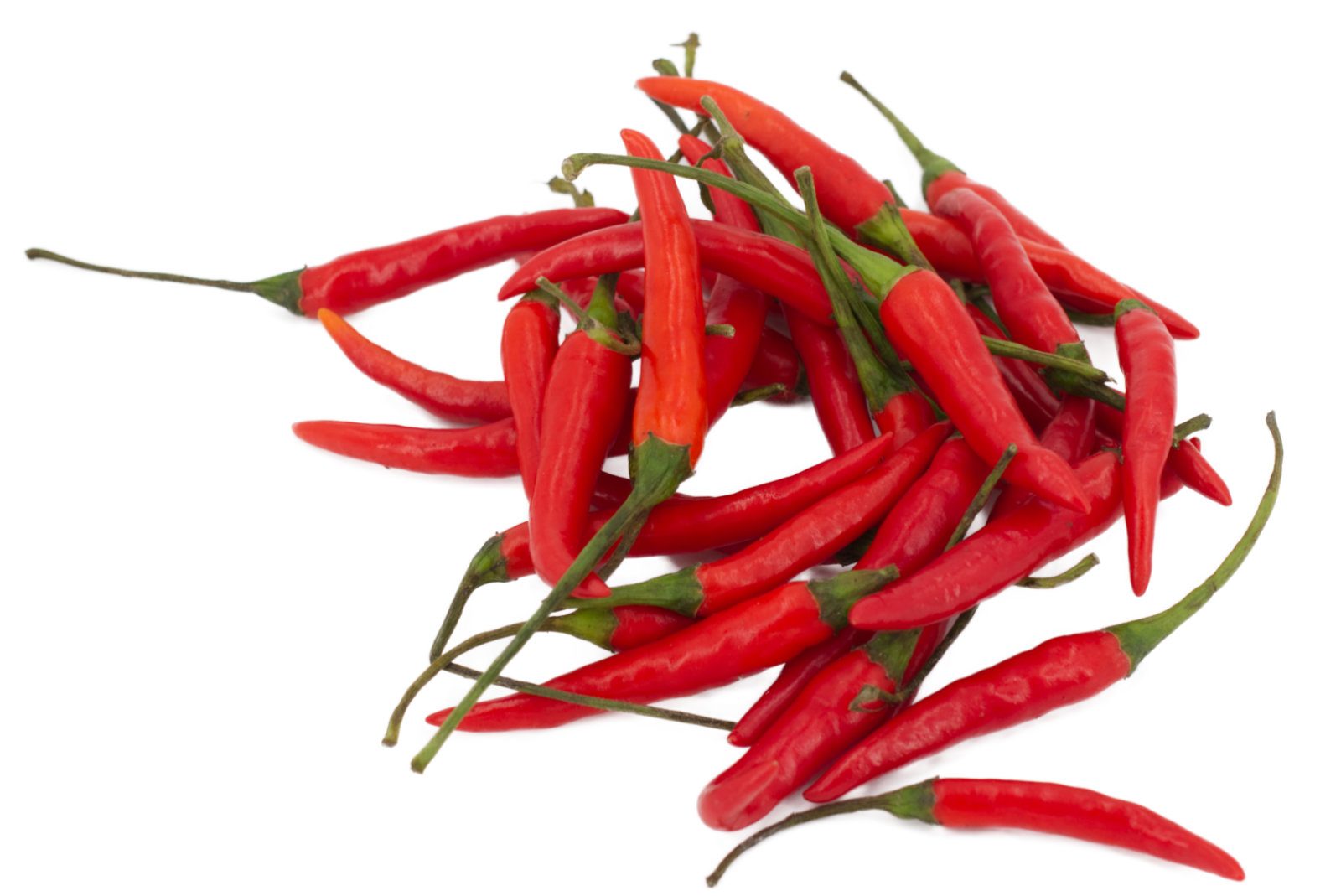 Chilli Schoten "rot" 2kg - lose -