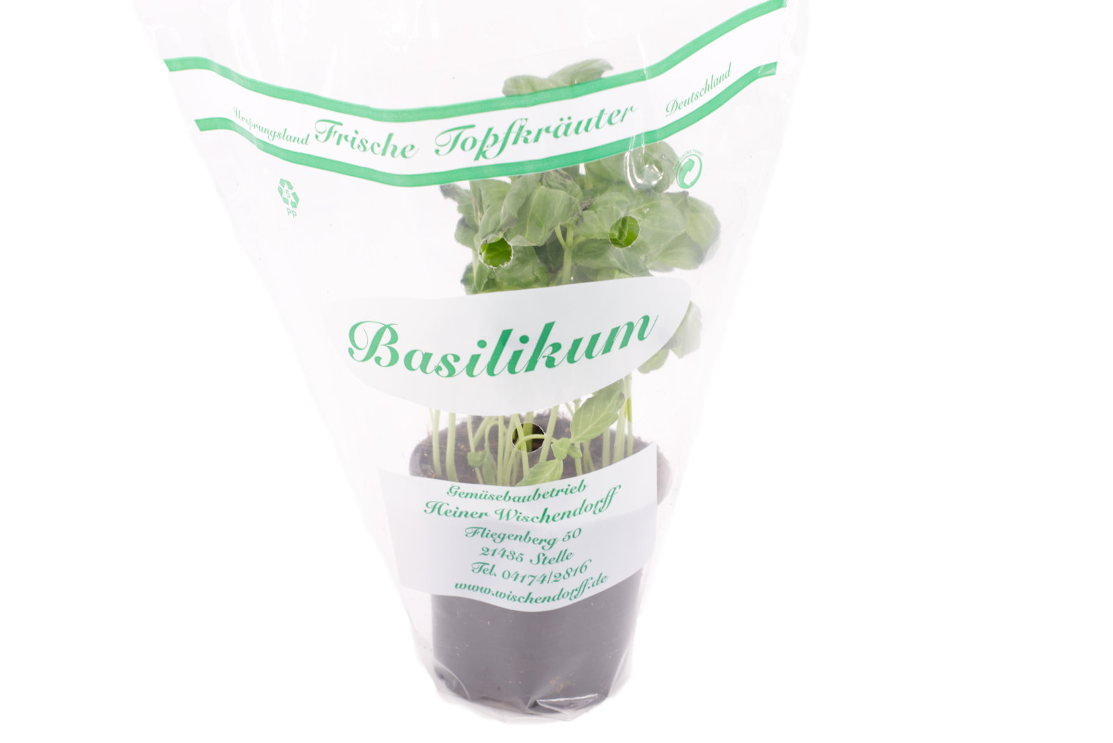 Basilikum Töpfe klein 9cm
