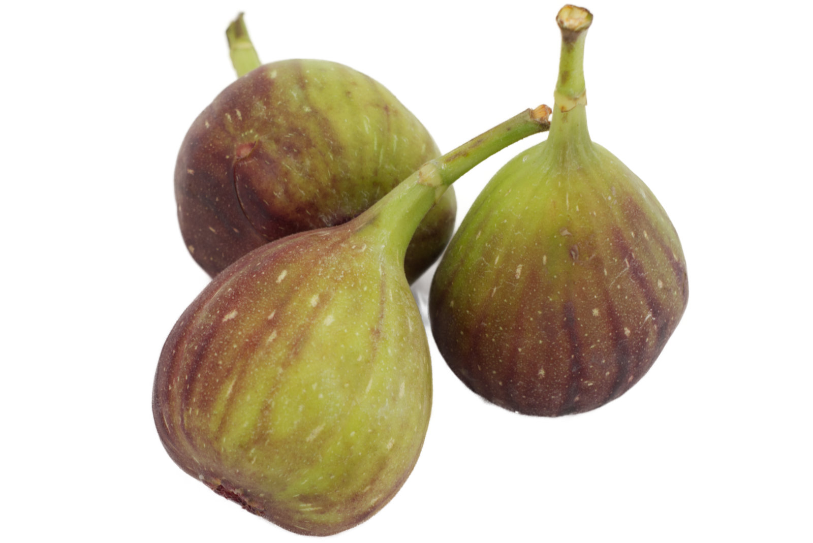 Feigen frische 24er