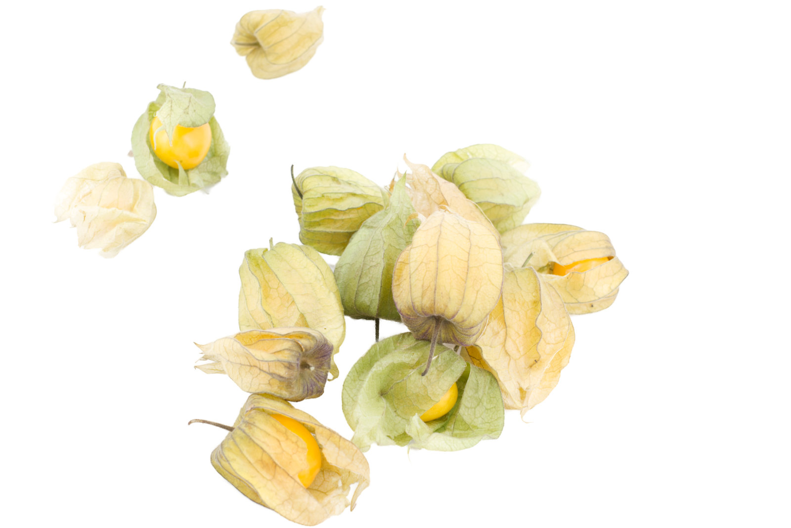 Physalis 1,5kg - lose -