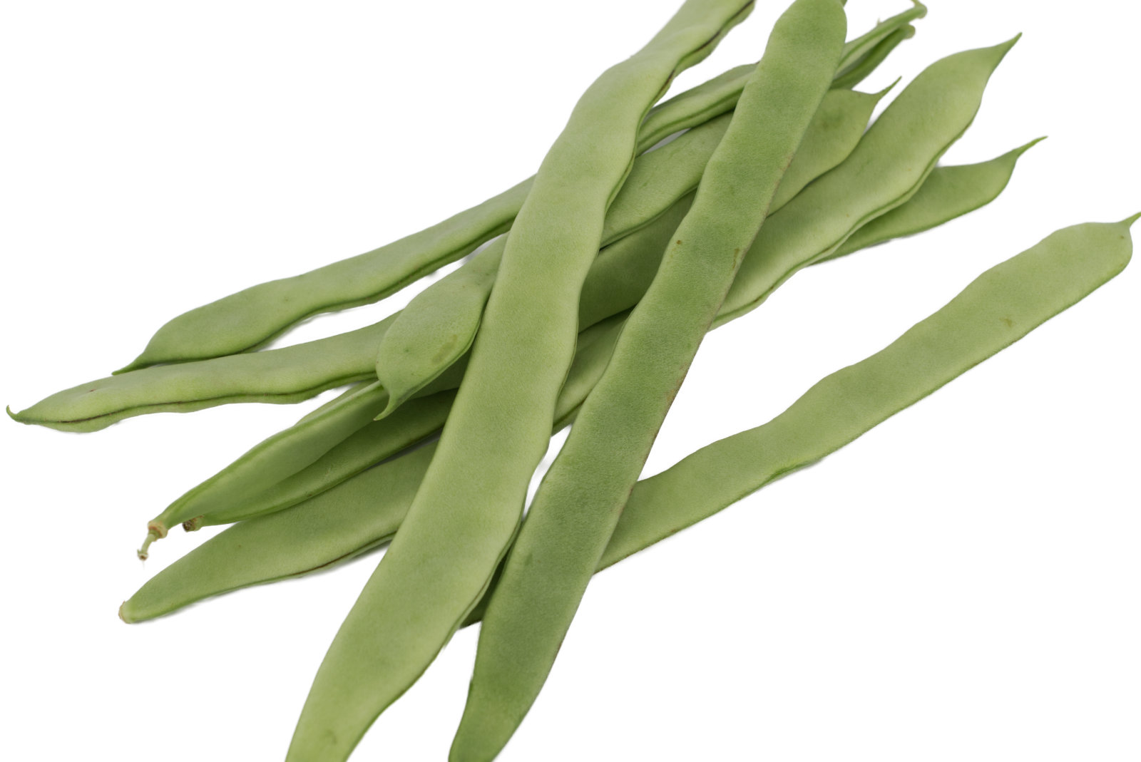 Schneidebohnen 5kg -dtsch.-