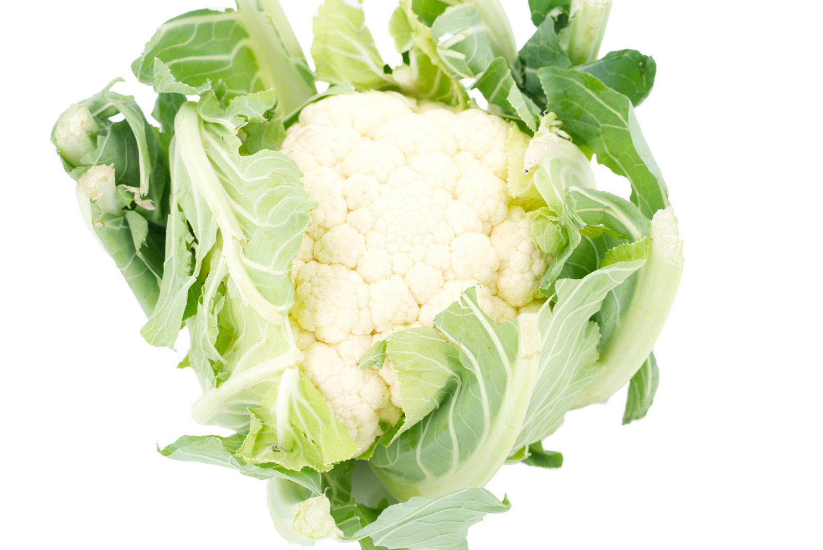 Blumenkohl 6er -franz.-