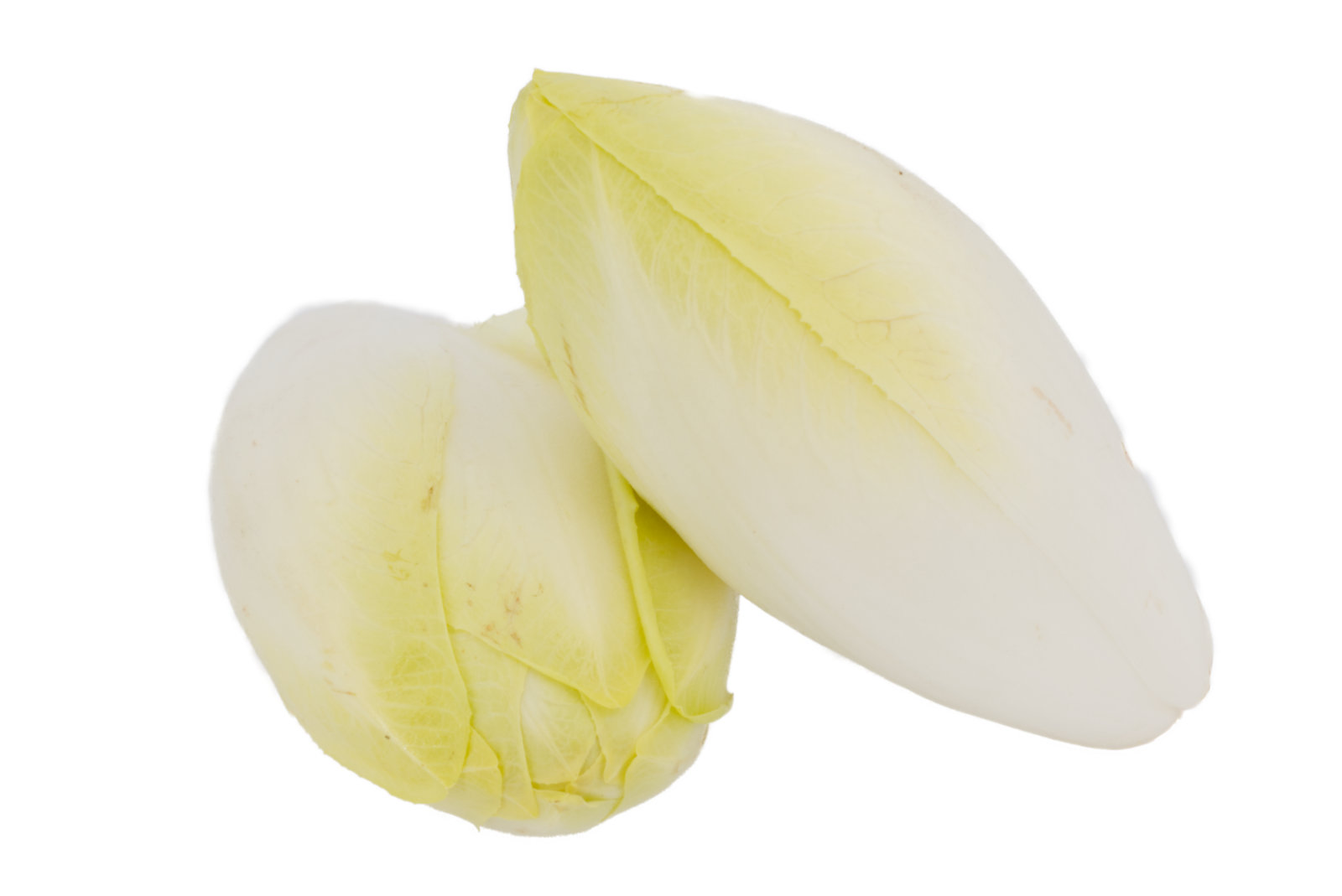 Chicoree 5kg