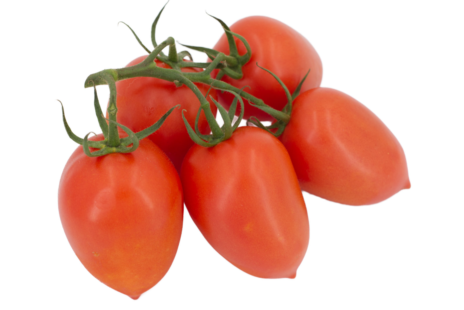 Romastrauchtomaten 5 kg