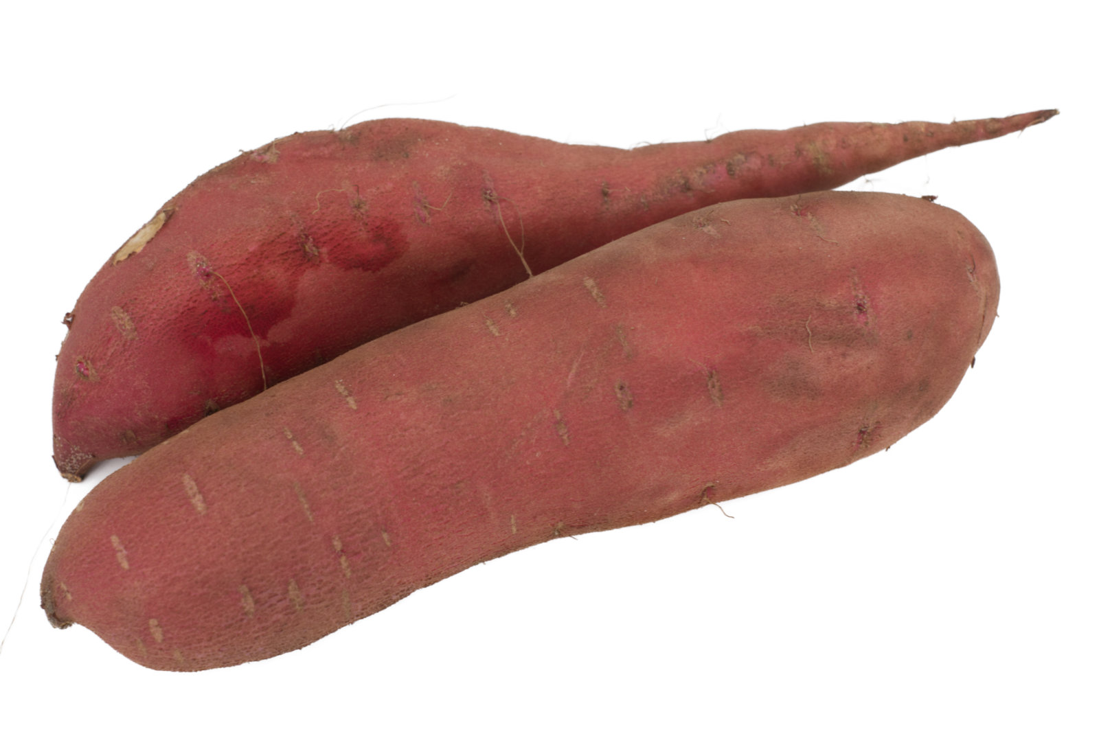 Süsskartoffeln 6kg 19%