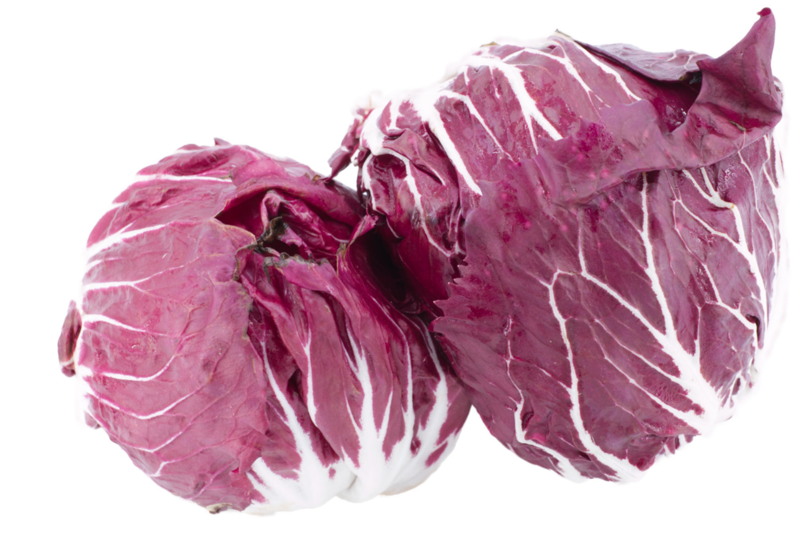 Radiccio 3kg
