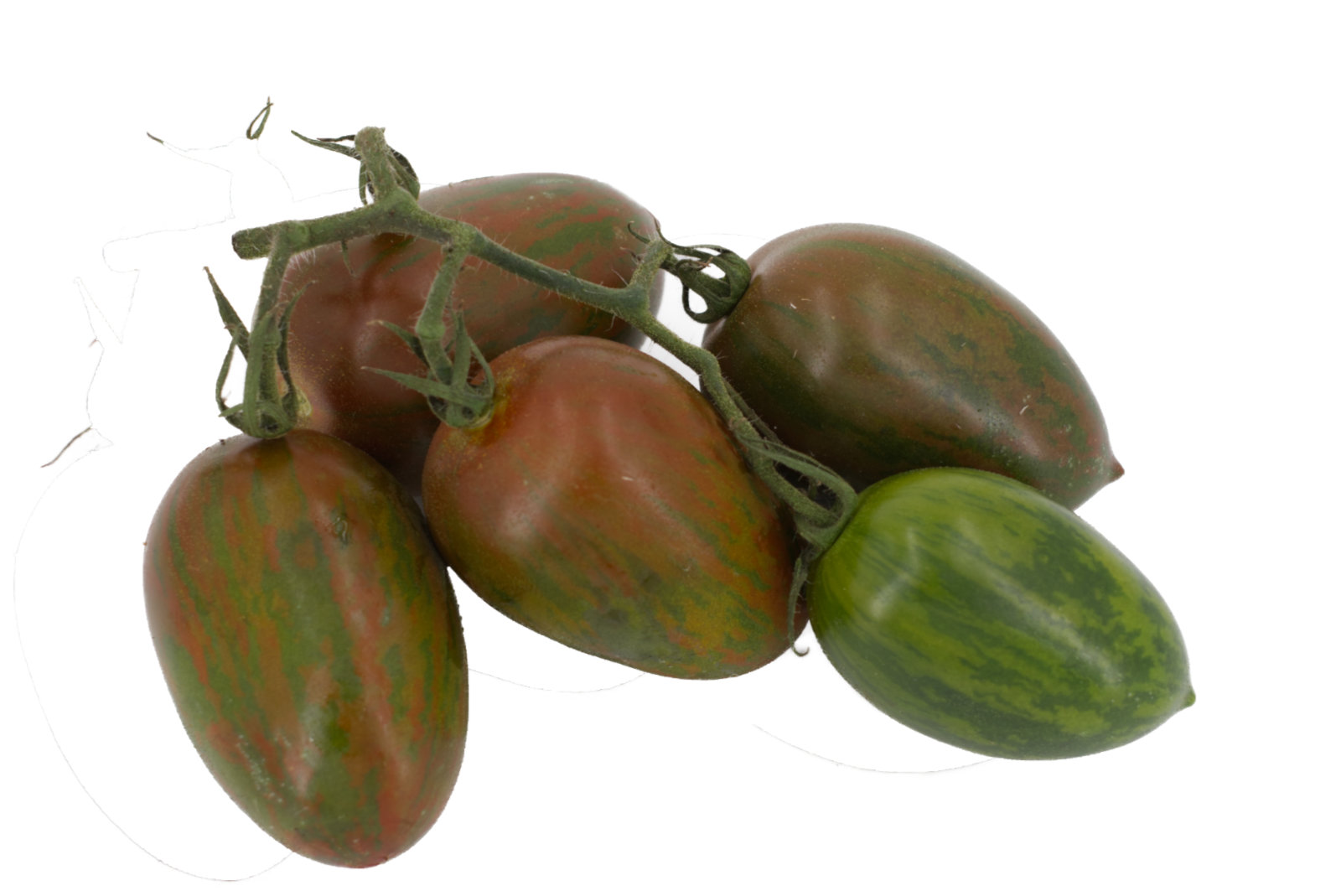 Flaschencherrystr. "Schoko" 3kg - T4You -