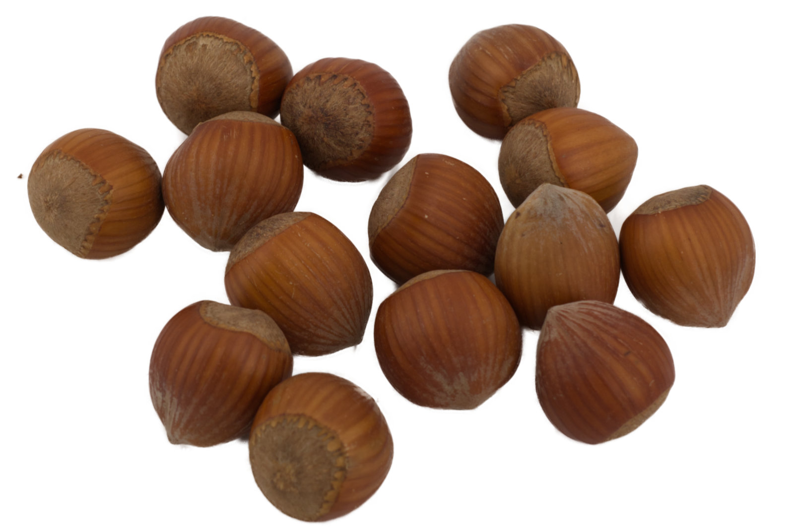Haselnüsse Jumbo 22+ 5kg
