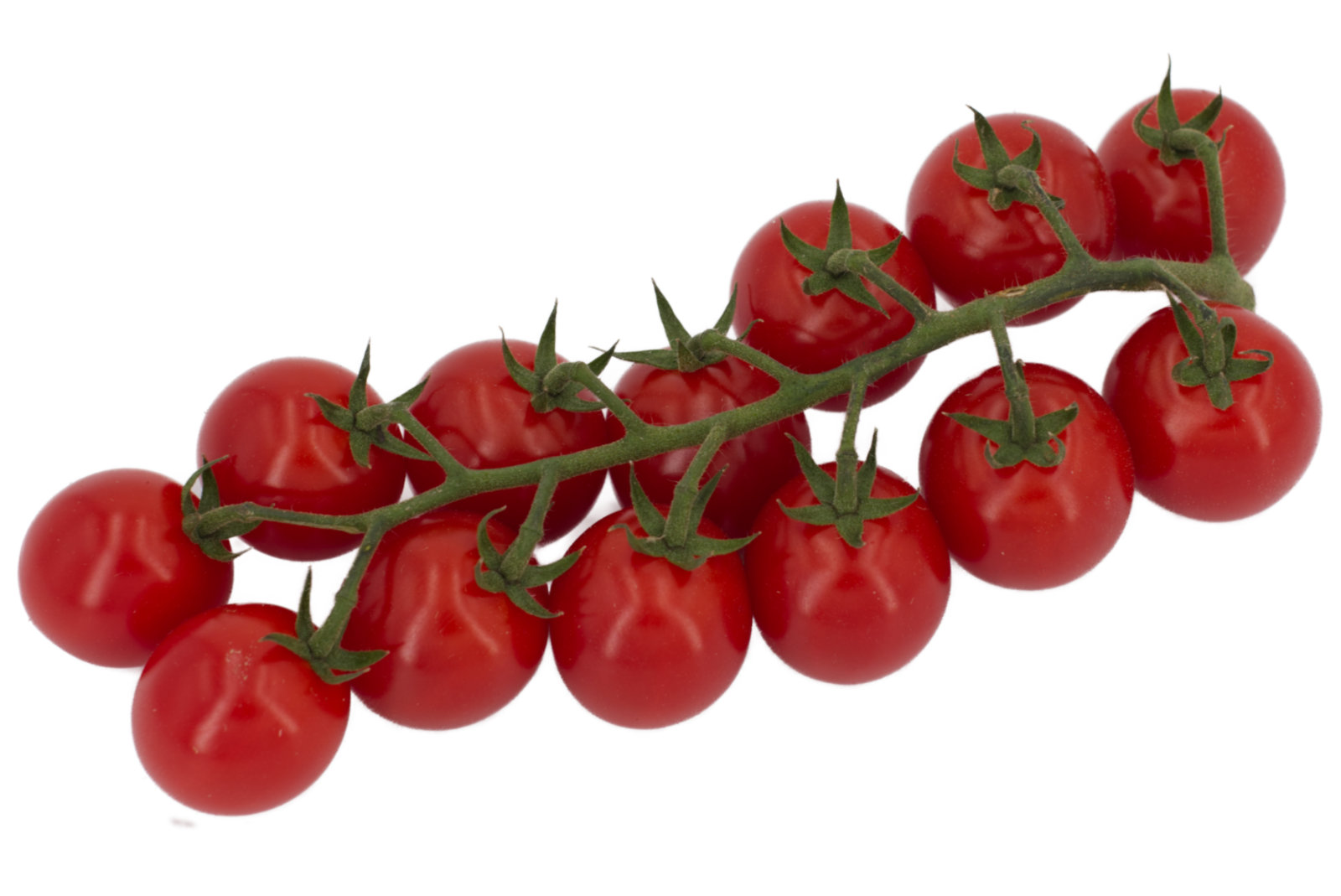 Cherrystraucht. Cherita "l'Amuse" 3kg - niederl. -