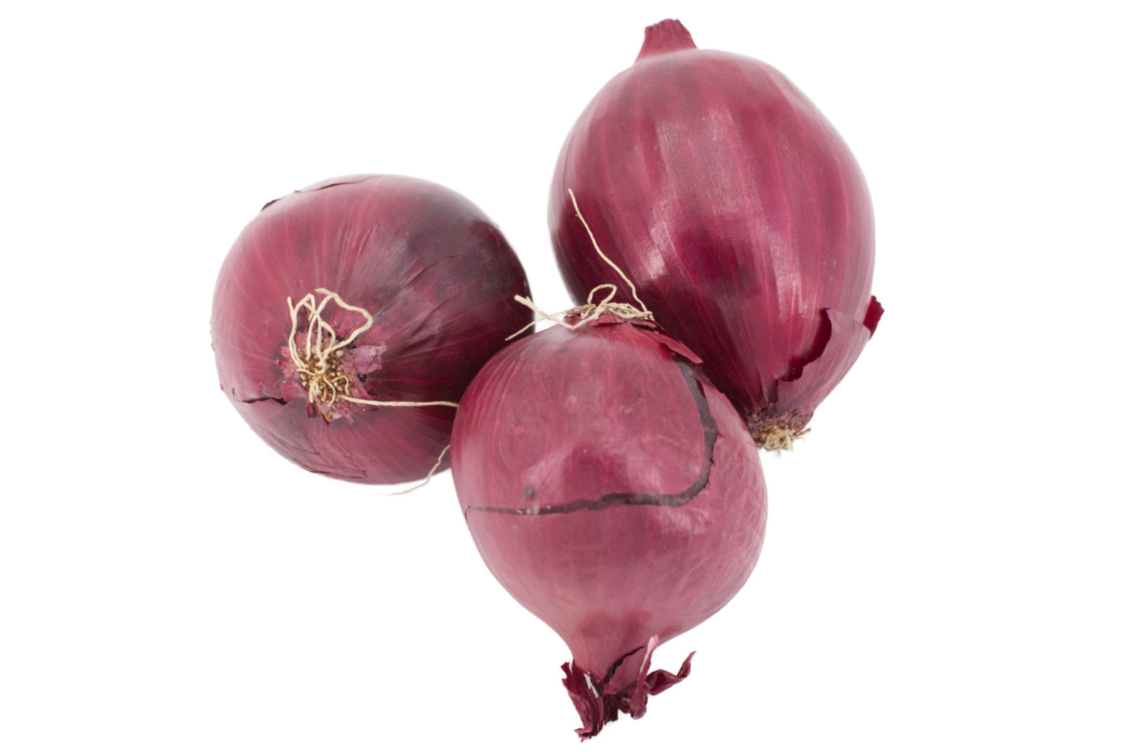 Zwiebeln "rot" 10kg -niederl.-