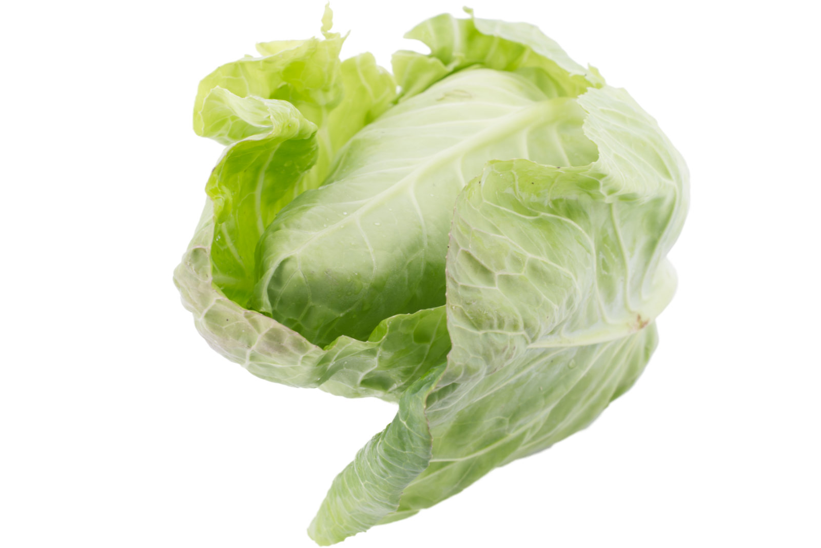 Spitzkohl 10kg - dtsch. -