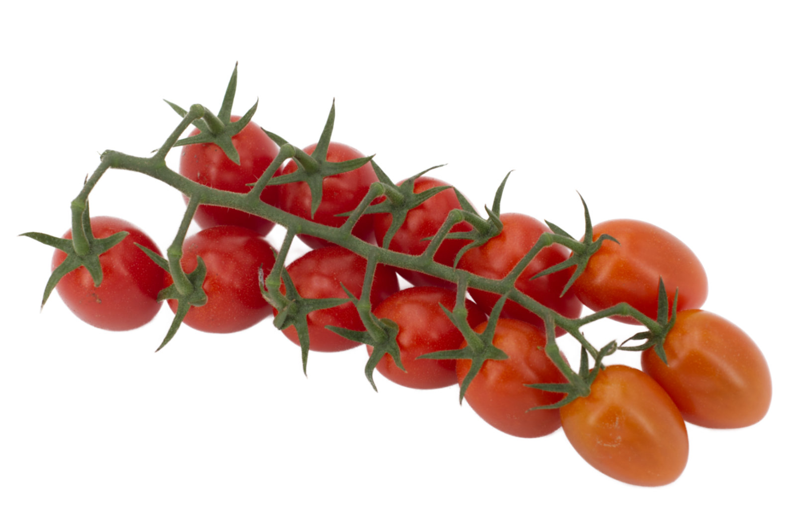 Flaschencherry "Mini Tröpfchen" 3kg - T4You -