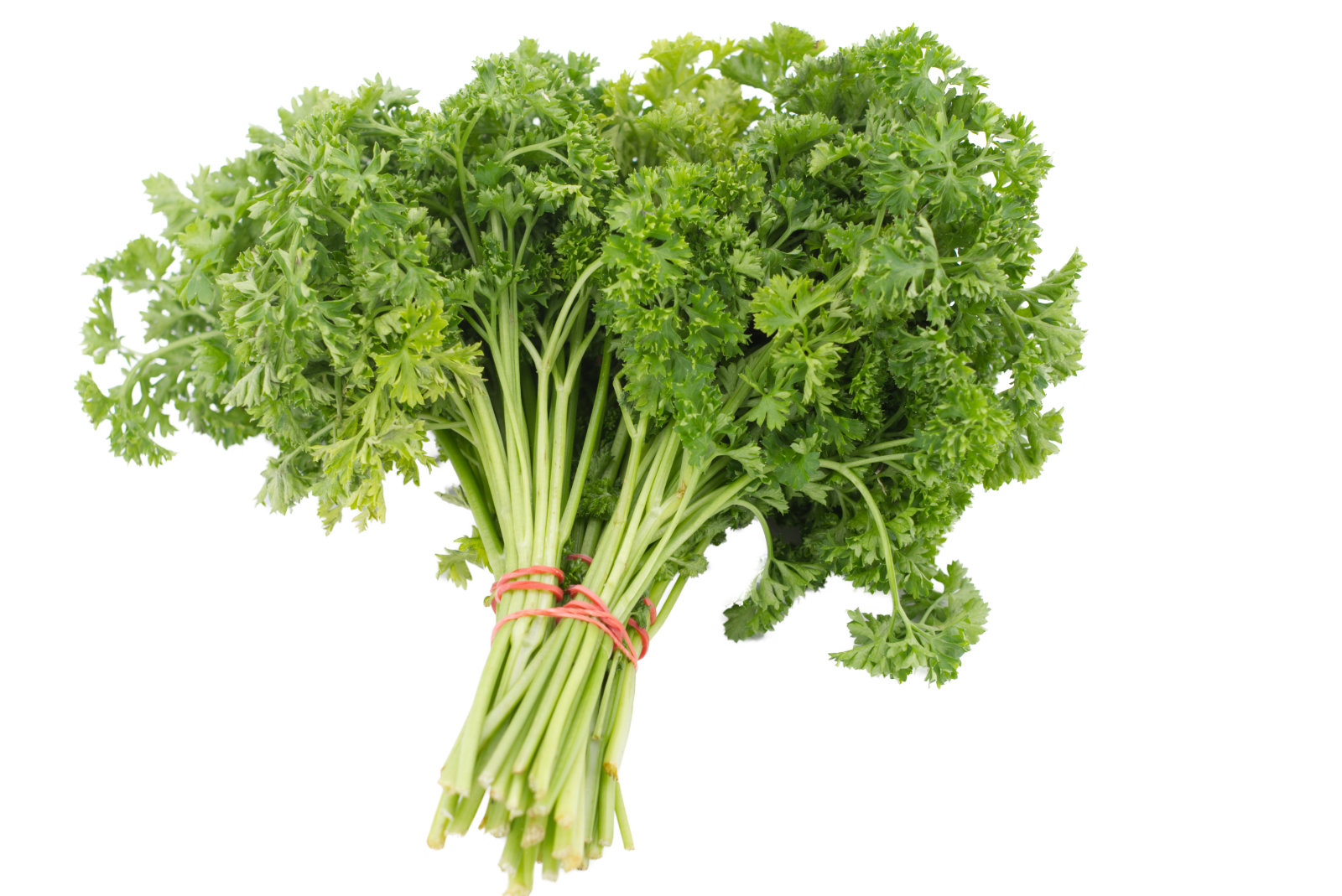 Petersilie kraus Bunde 5er