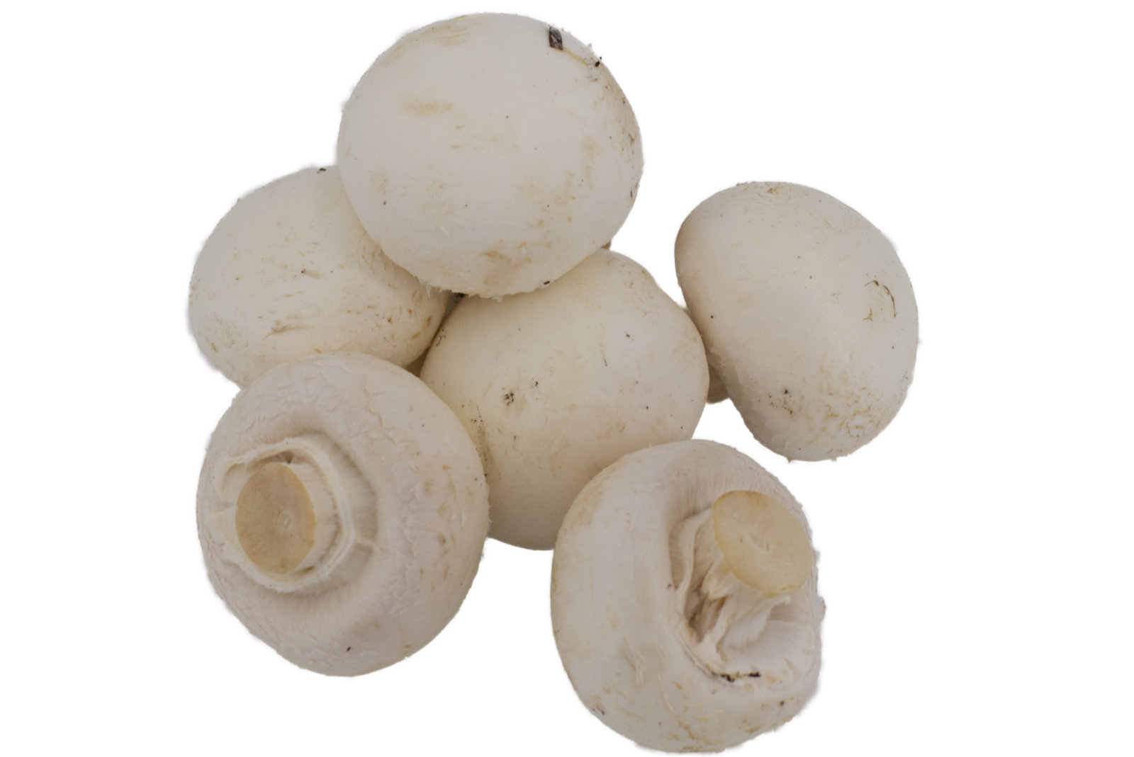 Champignon "weiss" 1,5kg - Korb -