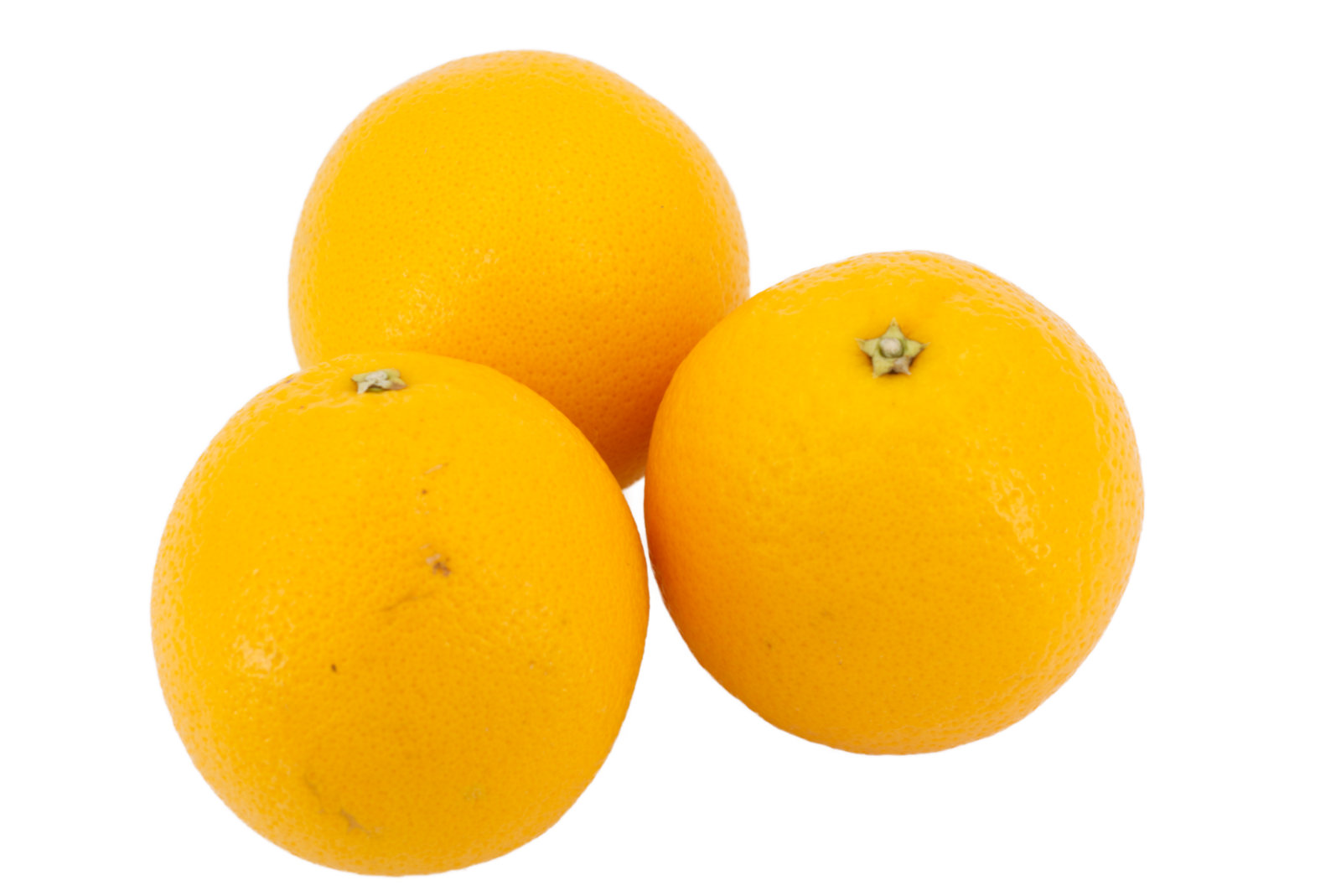Orangen 100er -ägypt.-
