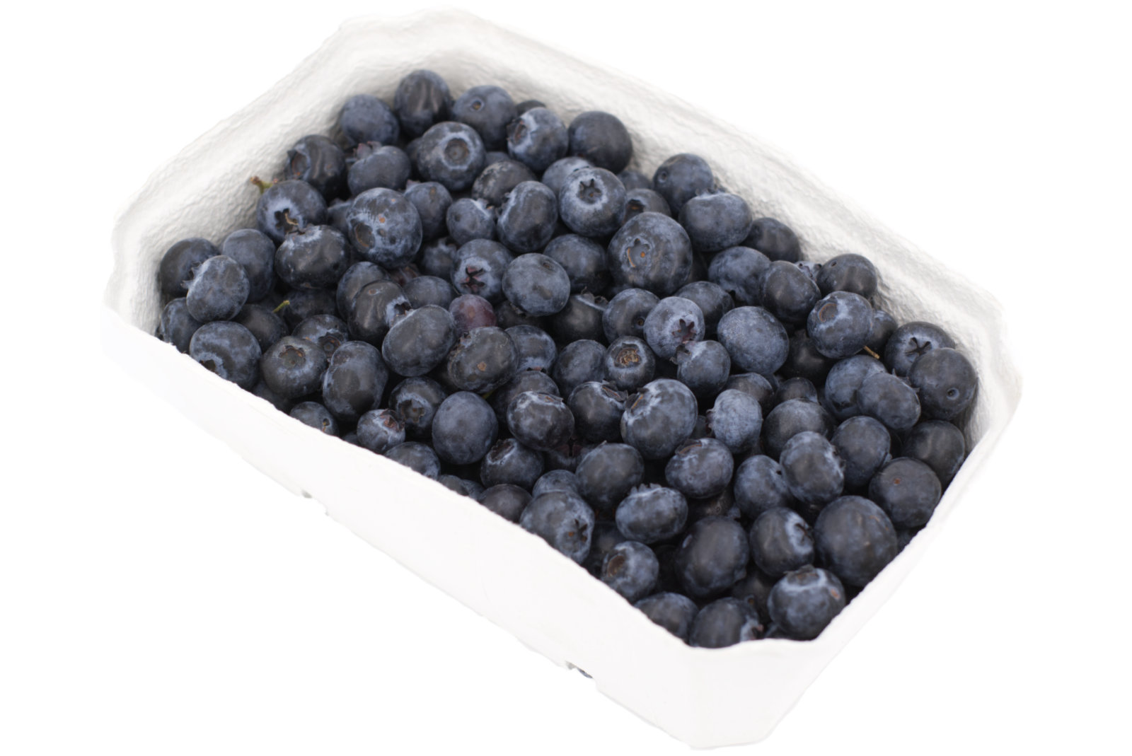 Gartenblaubeeren 8 x 200g -span. -Pappschalen