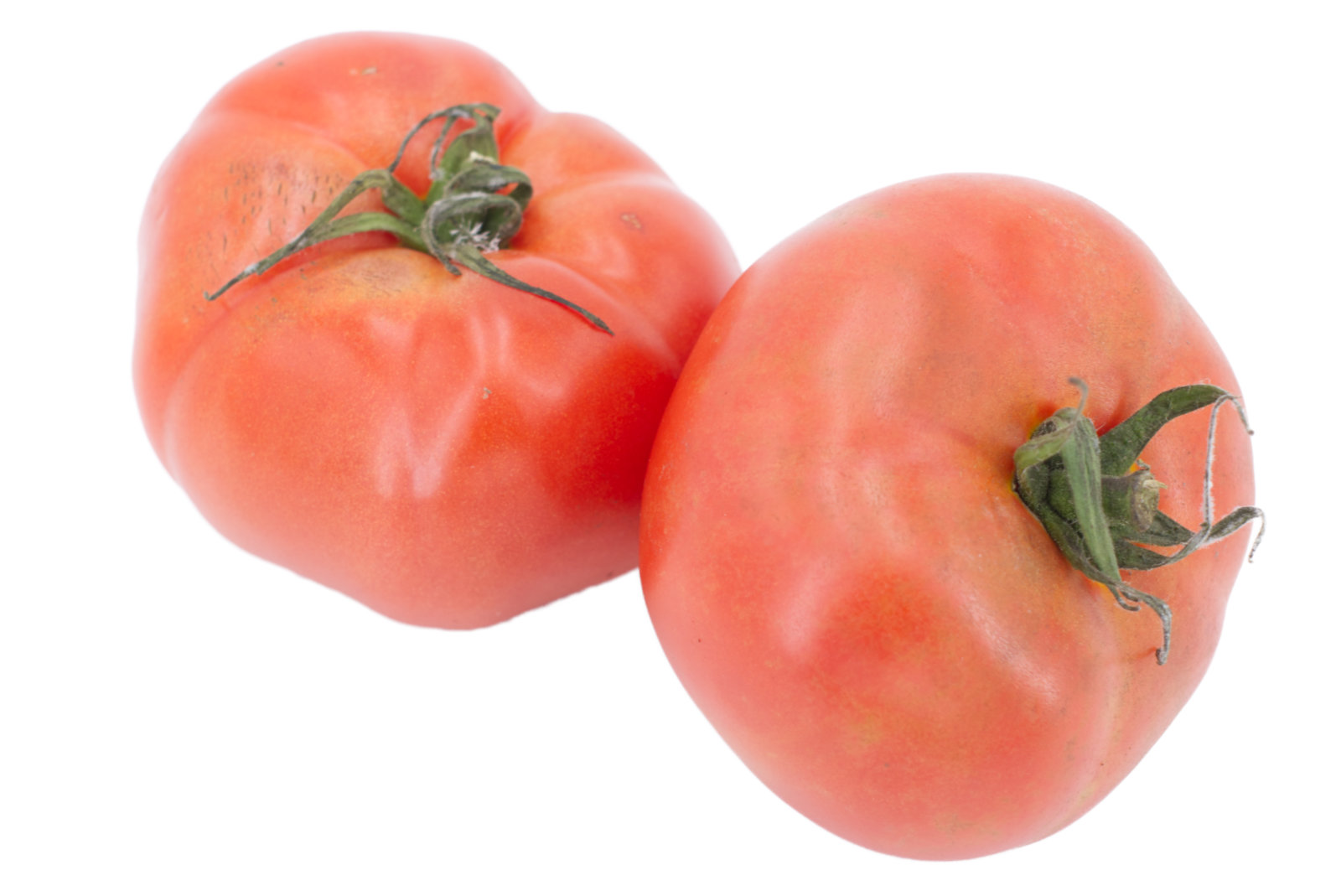 Fleischtomaten 7kg -niederl.-