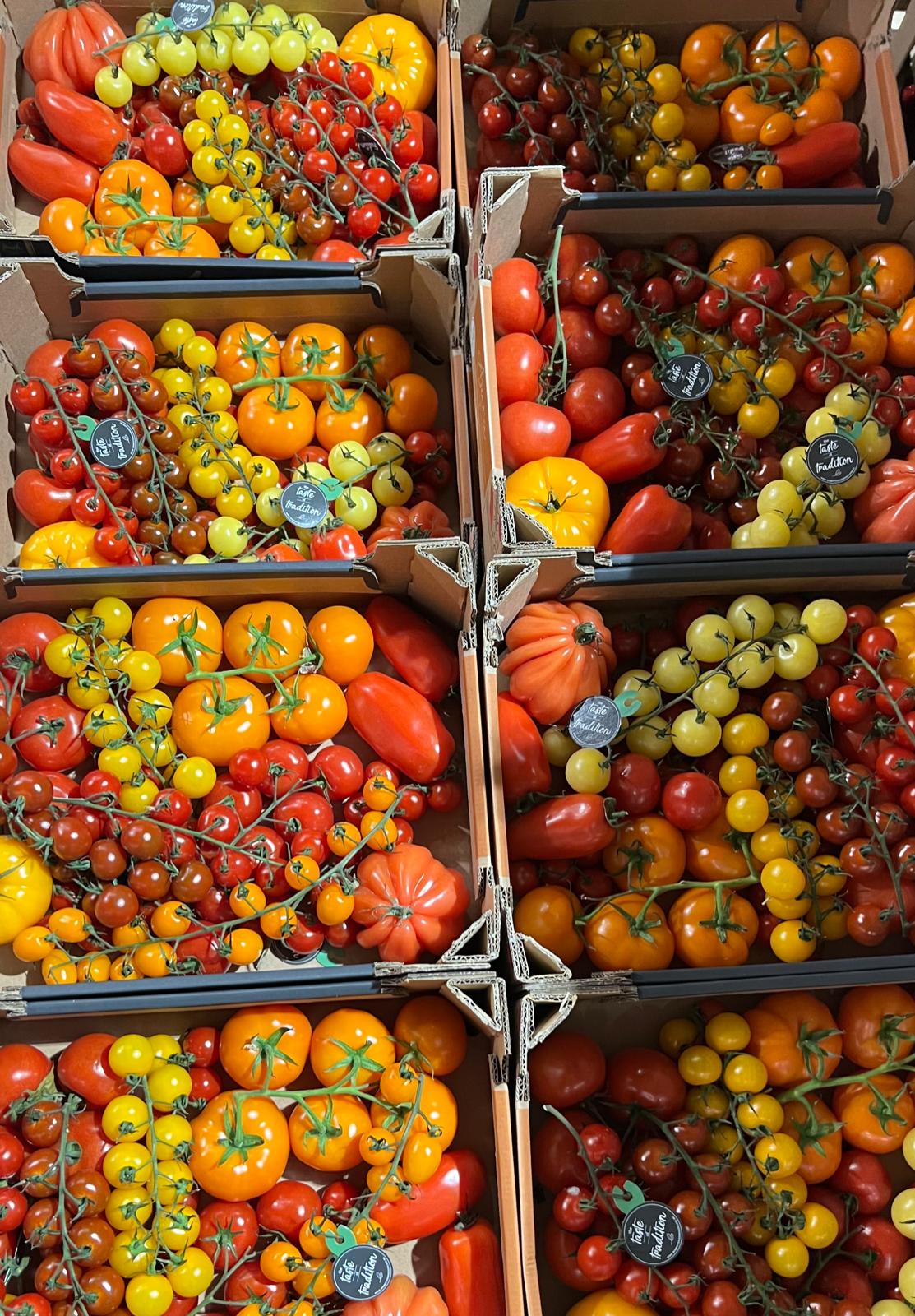 Cherrystrauchtomaten "mix, tricolor" 3kg