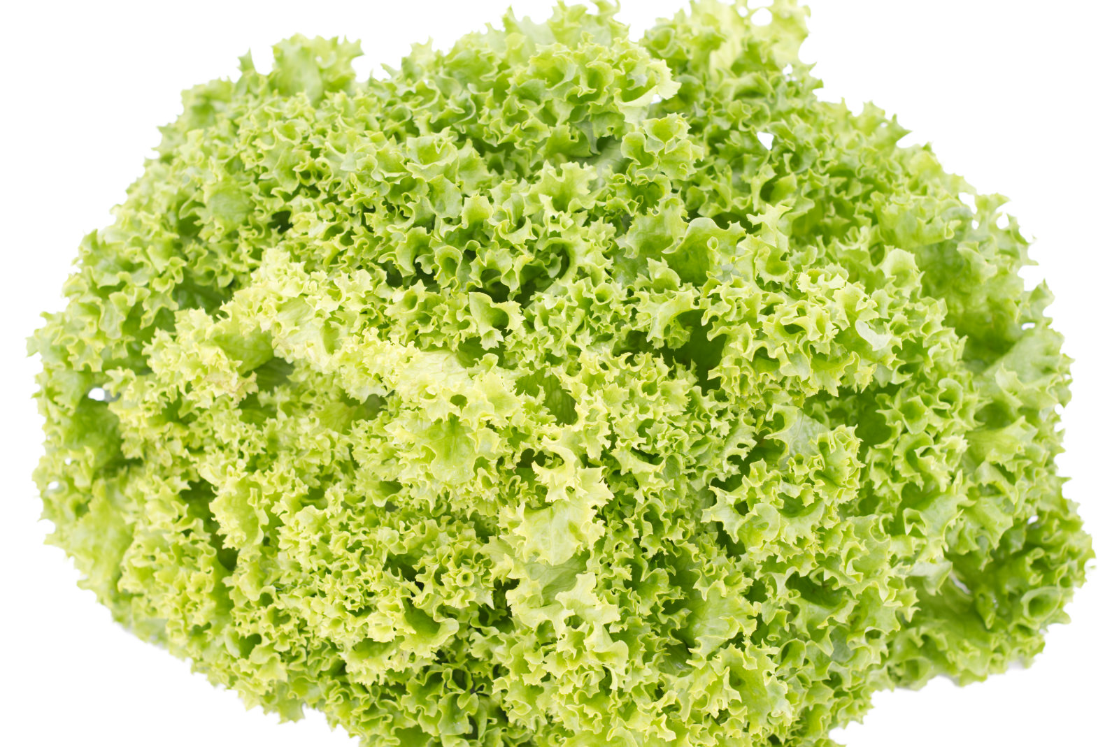 Mix Salat 9er -dtsch.-