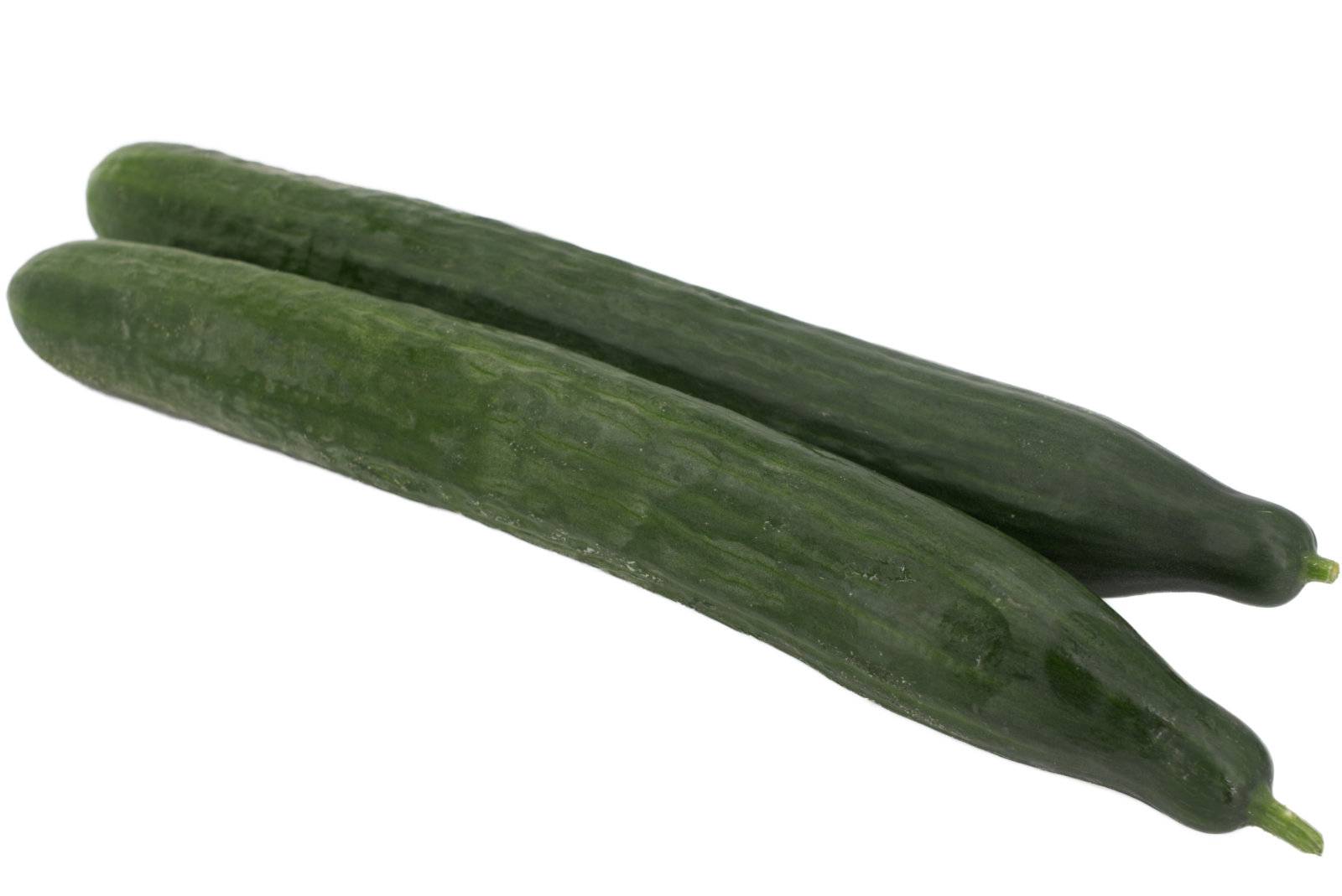Gurken 50/60 12er - niederl. -